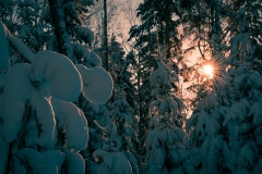 1 место_Пышкин Кирилл_ Пейзаж_Солнечная зимушка (Серия работ) (5)